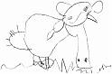 elefant 2005